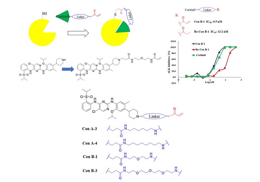 Figure 2. Binding mode and structural optimization of ALK covalent inhibitors