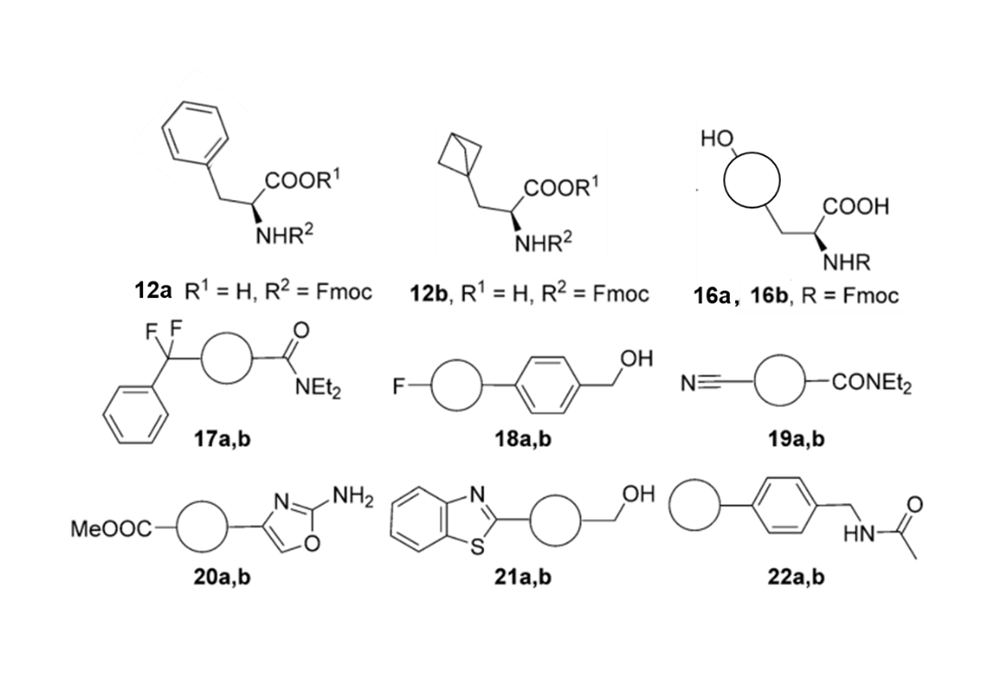 Figure 3. Phenyl ring (a series) and BCP substituted analogs (b series)